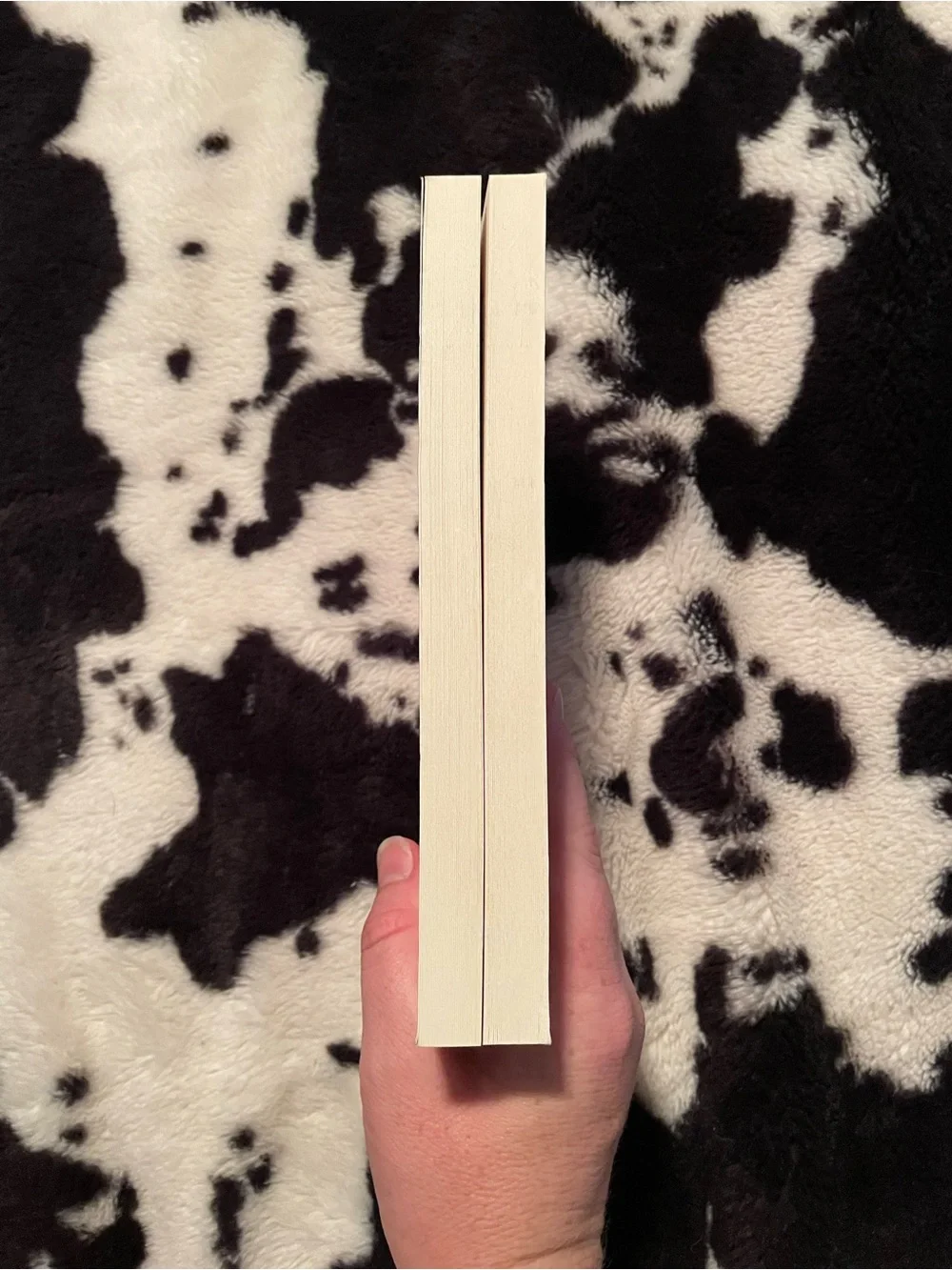 Flawless by Elsie Silver Paperback Book